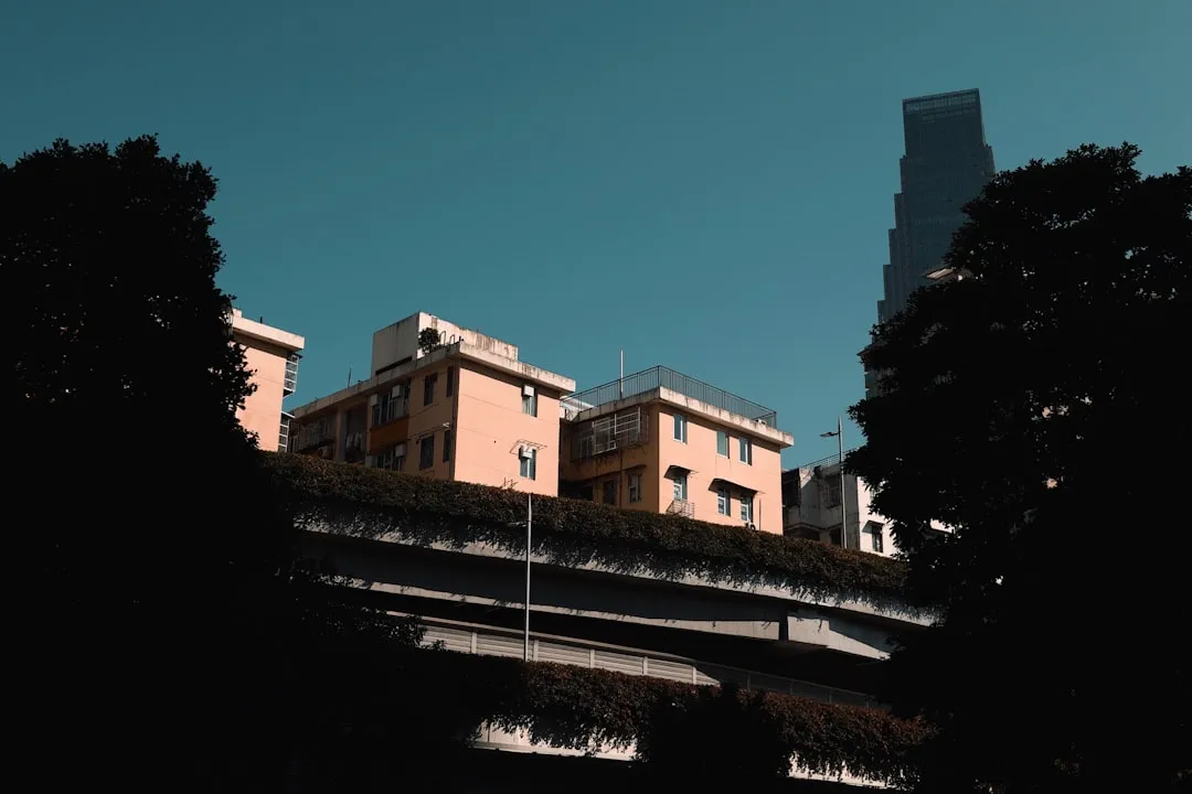 牛羊饲料科学配方设计对反刍动物生长性能的影响分析