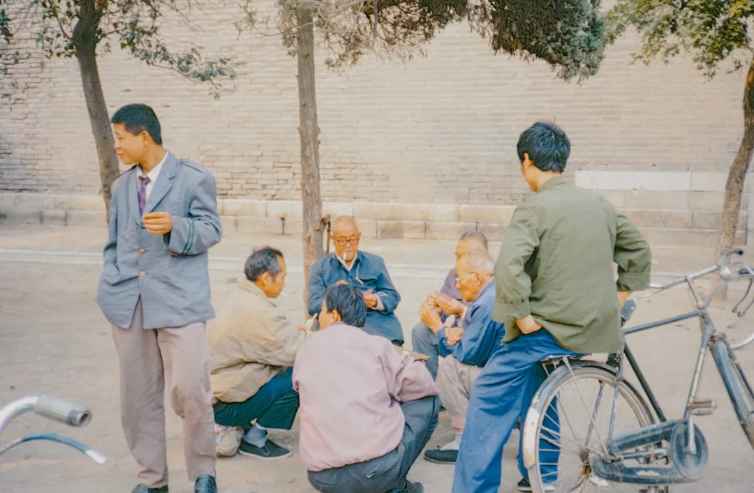 通辽地区牛羊饲料配方优化与育肥效果对比分析