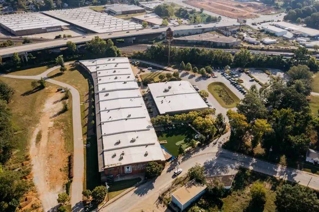 反刍动物精准营养调控策略在牛羊饲料中的应用分析